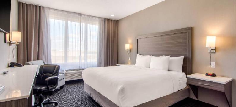 舒适套房酒店(Comfort Inn & Suites)图片