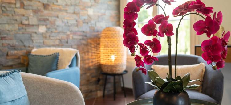 布朗切旅游舒适布里特酒店(Brit Hôtel Confort - la Tour Blanche)图片