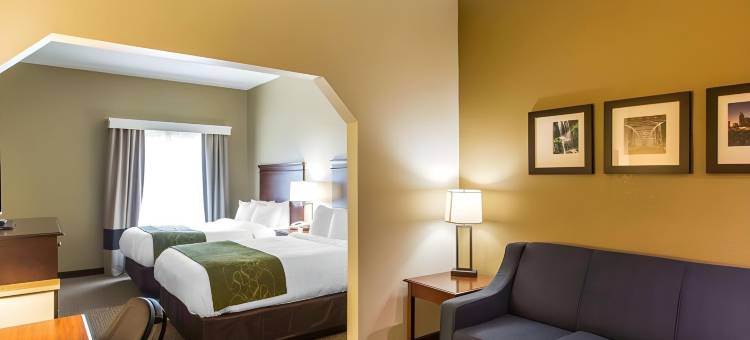 库克维尔舒适套房酒店(Comfort Suites Cookeville)图片