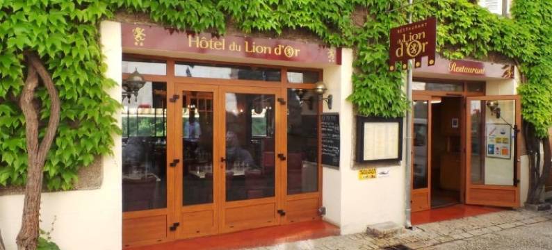 利昂多尔酒店(Hotel du Lion d'Or)图片