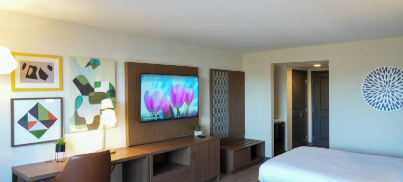 Holiday Inn & Suites 凤凰城机场(Holiday Inn & Suites PHOENIX AIRPORT by IHG)图片