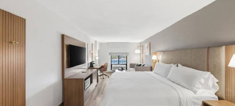 Holiday Inn 亚特兰大诺斯莱克(Holiday Inn ATLANTA-NORTHLAKE by IHG)图片