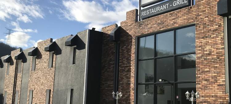 派克斯里昂苏德吉沃尔酒店(Hotel de La Paix Lyon Sud Givors)图片