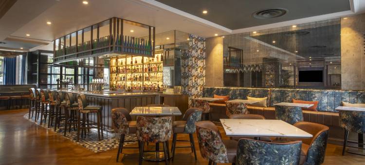 都柏林希尔顿酒店(Hilton Dublin)图片