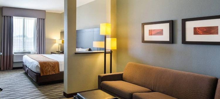 舒适套房酒店-近韦斯特彻斯8号环城路(Comfort Suites near Westchase on Beltway 8)图片