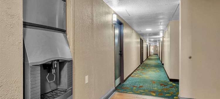 华纳罗宾速8酒店(Super 8 by Wyndham Warner Robins)图片