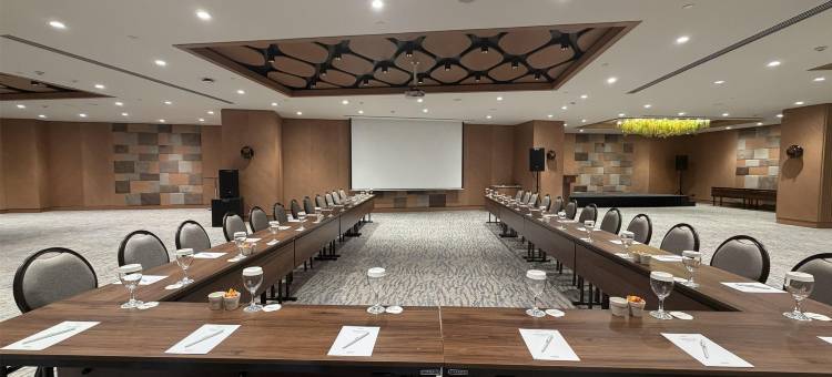 伊斯坦布尔梅尔特雷迪森酒店(Radisson Hotel Istanbul Merter)图片