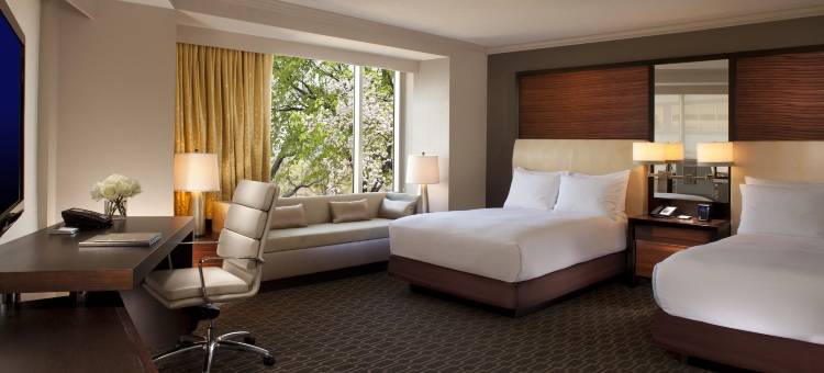 麦克莱恩泰森斯科纳希尔顿酒店(Hilton McLean Tysons Corner)图片