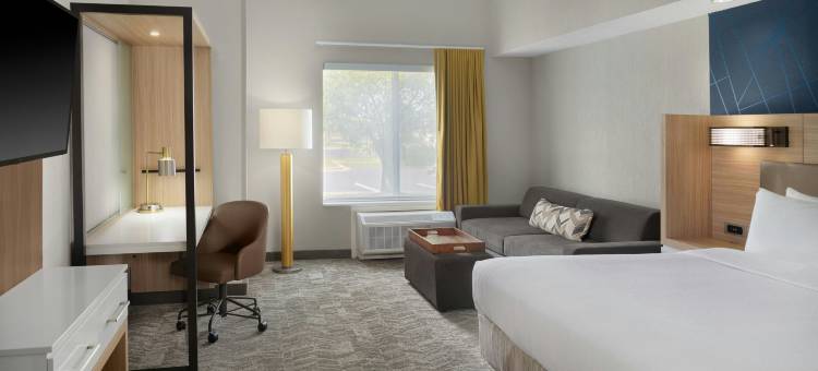 兰辛SpringHill Suites酒店(SpringHill Suites Lansing)图片