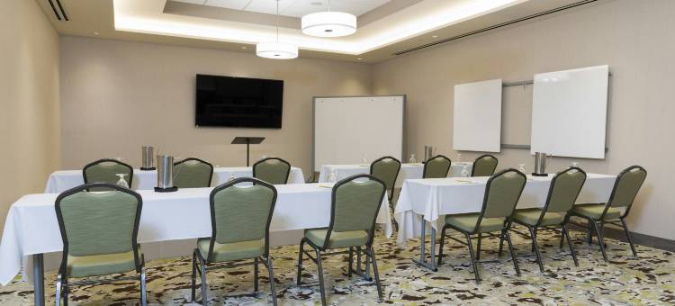 希尔顿花园旅馆-大急流城机场(Hilton Garden Inn Grand Rapids East)图片