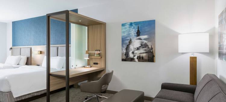 圣保罗市中心SpringHill Suites酒店(SpringHill Suites St. Paul Downtown)图片