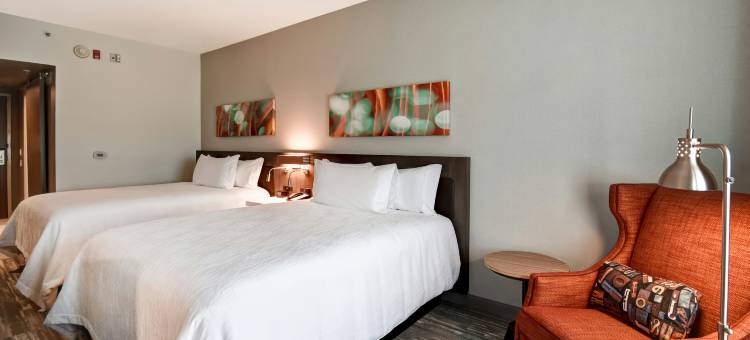 西兰辛希尔顿花园酒店(Hilton Garden Inn Lansing/West)图片