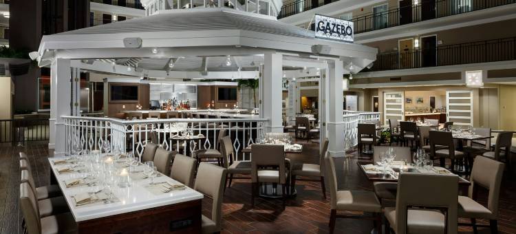 希尔顿旗下奥兰多布埃纳维斯塔湖度假村大使套房酒店(Embassy Suites by Hilton Orlando Lake Buena Vista Resort)图片