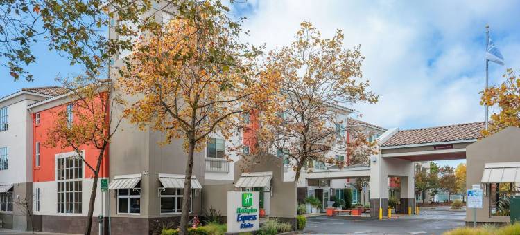 伯克利智选假日套房酒店(Holiday Inn Express & Suites BERKELEY by IHG)图片