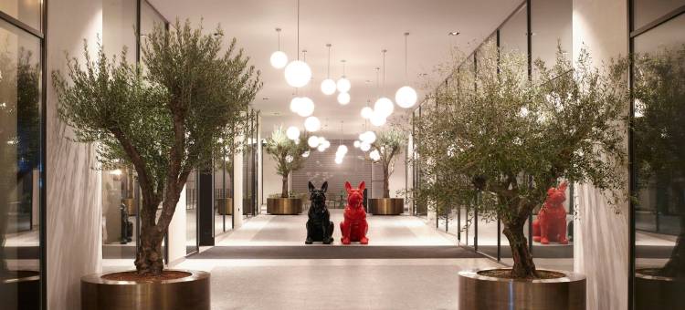 雅典城市MOXY酒店(Moxy Athens City)图片