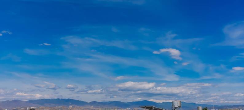 大理梧桐精品民宿图片