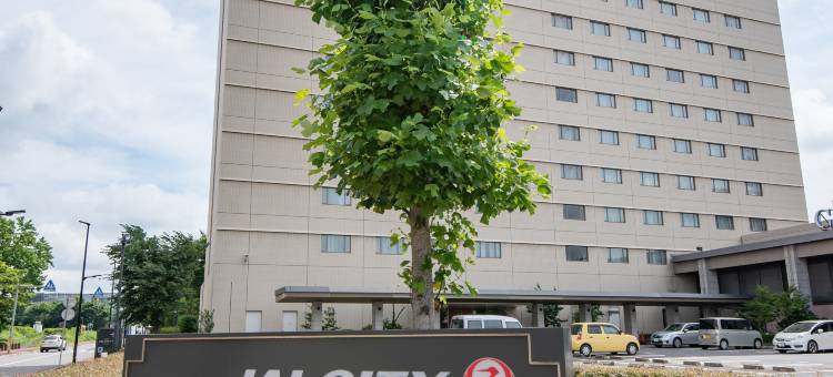 筑波日航都市酒店(Hotel JAL City Tsukuba)图片