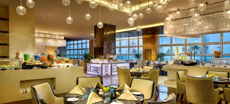 国际博览中心酒店图片