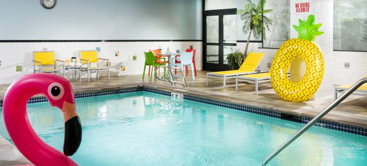 Staypineapple-麦克斯韦酒店-西雅图中心-西雅图(Staypineapple, the Maxwell Hotel, Seattle Center Seattle)图片