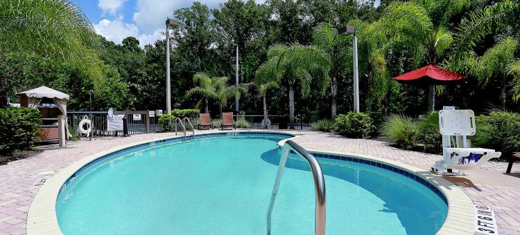 坦帕韦斯利查普尔欢朋套房酒店(Hampton Inn & Suites Tampa-Wesley Chapel)图片