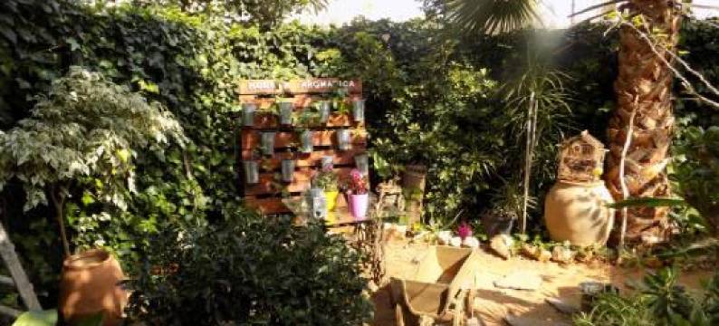 Hostal Mi Campaña图片