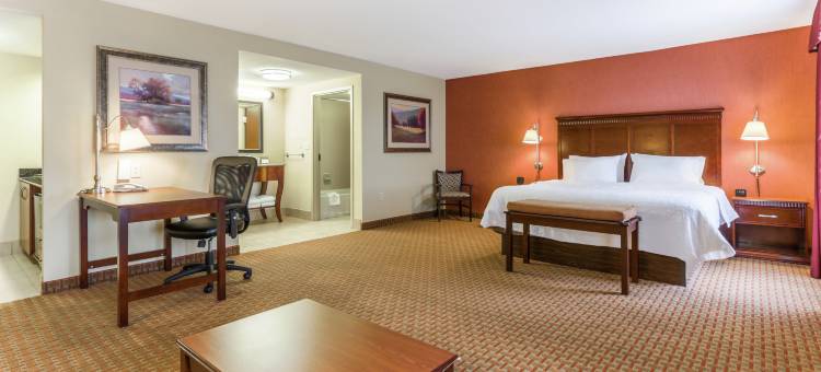 北查塔努加希尔顿欢朋酒店(Hampton Inn Chattanooga-North/Ooltewah)图片
