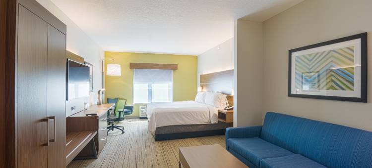 坦帕USF布希花园智选假日酒店及套房(Holiday Inn Express & Suites Tampa -USF-Busch Gardens)图片