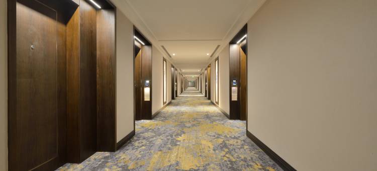 塔吉天际线艾哈迈达巴德酒店(Taj Skyline Ahmedabad)图片