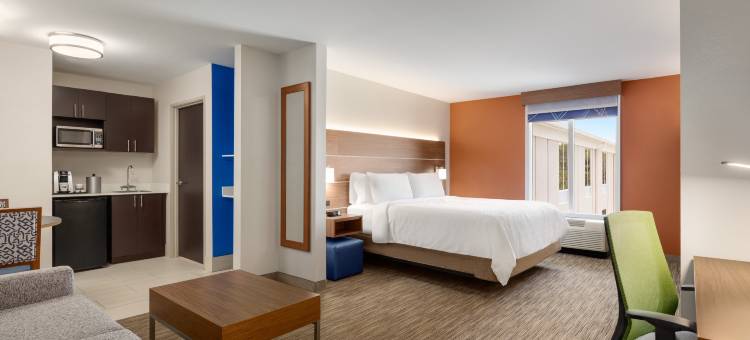 智选假日套房酒店奥本 - 大学区(Holiday Inn Express & Suites Auburn - University Area)图片