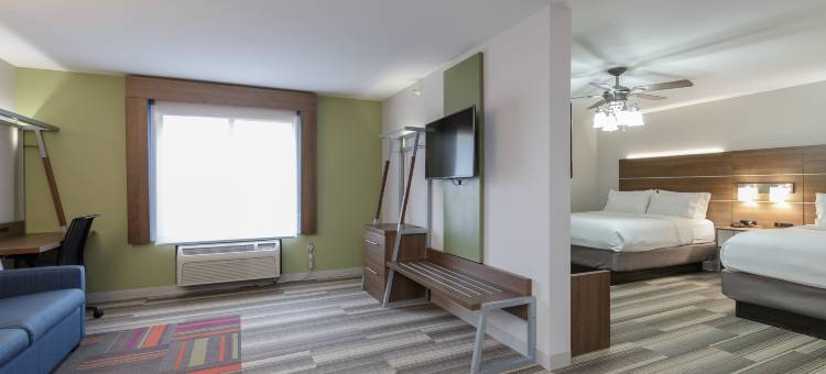 智选假日套房酒店南湾 - 巴黎圣母院UNIV。(Holiday Inn Express & Suites South Bend - Notre Dame Univ.)图片