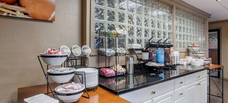 舒适酒店(Comfort Inn)图片