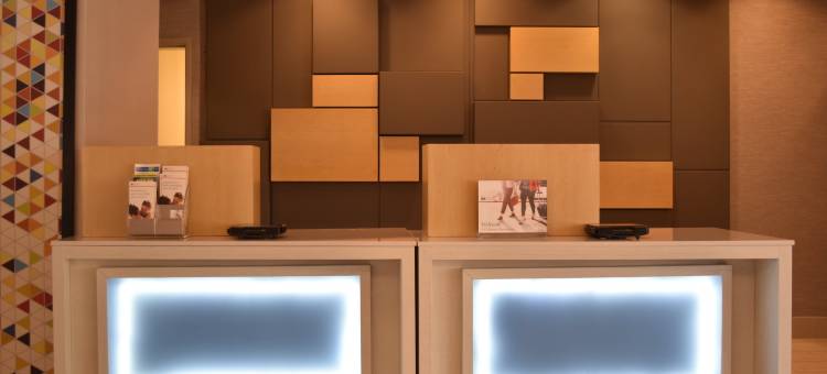 Holiday Inn Express 威尼斯(Holiday Inn Express Venice)图片