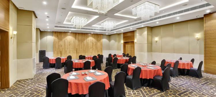 纳特德瓦拉丽笙酒店(Radisson Hotel Nathdwara)图片