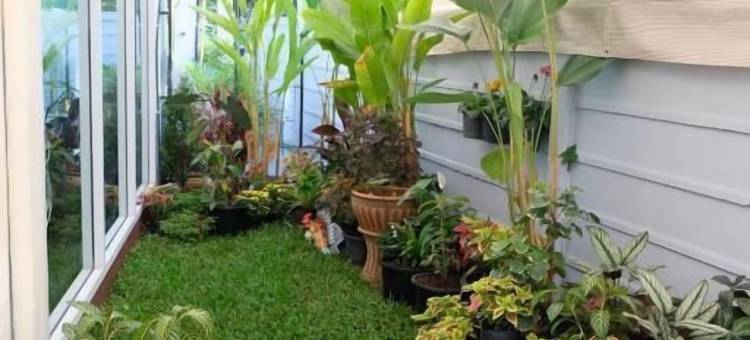 比思微笑酒店(Bees Smile Hotel)图片