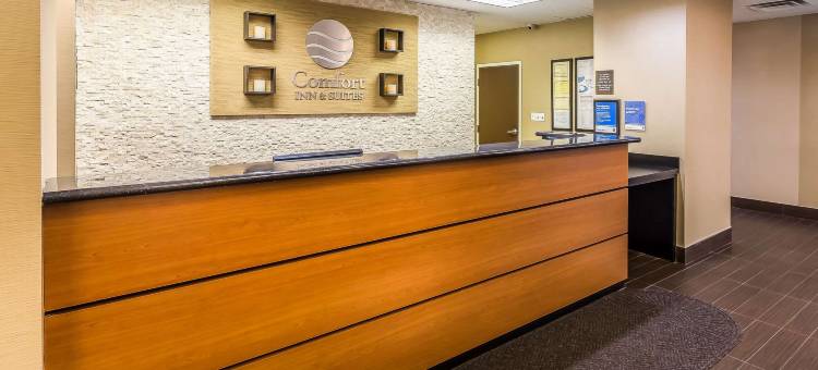 舒适套房酒店(Comfort Inn & Suites)图片