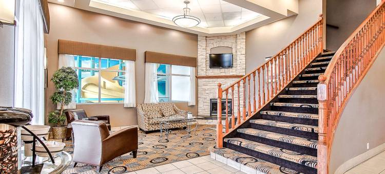 南部舒适酒店(Comfort Inn & Suites South)图片