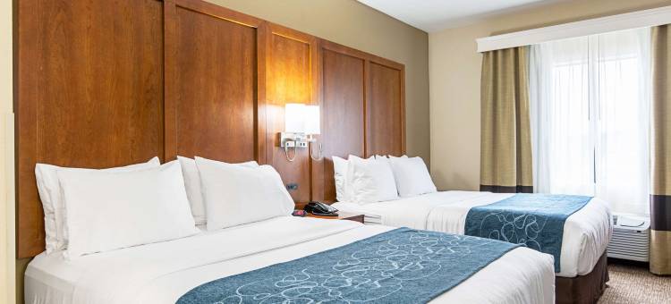 派恩布鲁夫舒适套房酒店(Comfort Inn & Suites Pine Bluff)图片