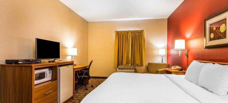 切斯特菲尔德村凯艺套房酒店(Quality Inn & Suites Chesterfield Village)图片