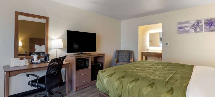 圣彼得斯堡骑士酒店(Quality Inn Saint Petersburg North-Tampa Bay)图片