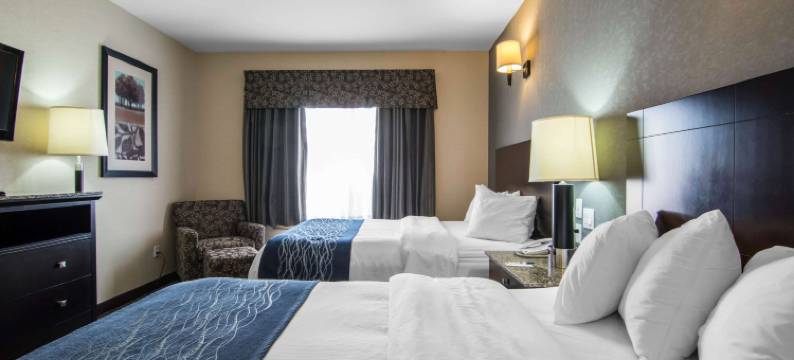 舒适套房酒店(Comfort Inn & Suites)图片