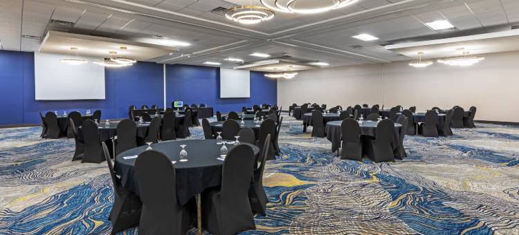 Holiday Inn Resort 南帕诸岛(Holiday Inn Resort South Padre Island-Beach Front)图片