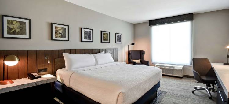 杰克逊希尔顿花园酒店(Hilton Garden Inn Jackson)图片