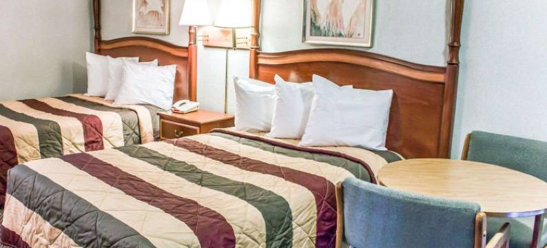 伊克诺套房酒店(伊克诺套房旅馆Greensboro, NC)(Dayspring Extended Stay)图片