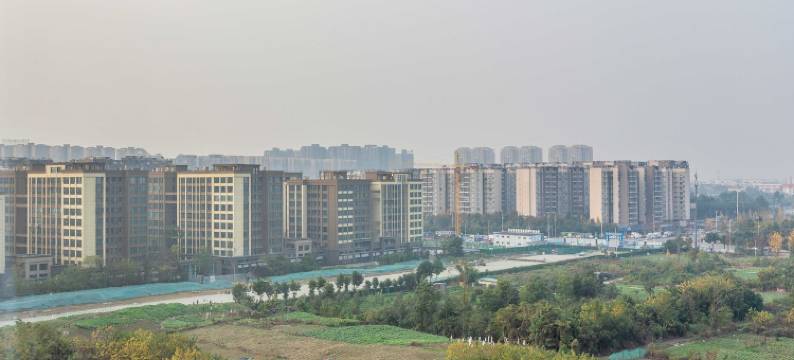 栖牛可心公寓(双楠大道中段4号分店)图片