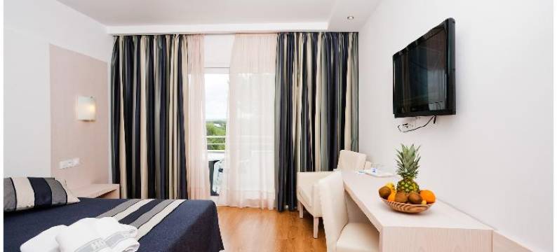 萨吉塔里奥普拉亚水疗酒店(Sagitario Playa)图片