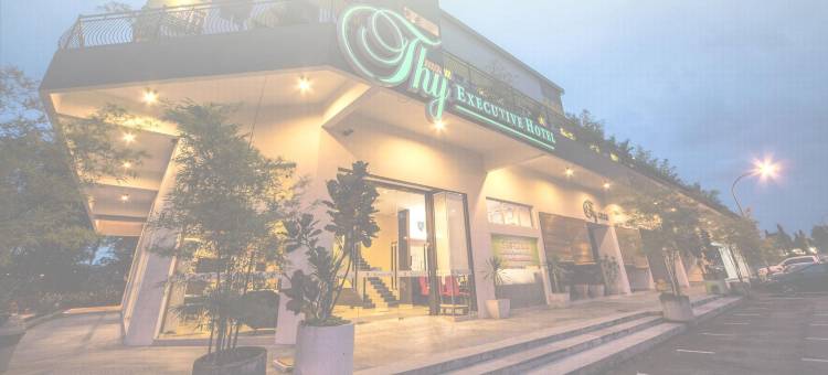 您商务酒店(Thy Executive Hotel)图片