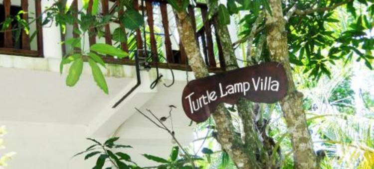 龟灯旅馆(Turtle Lamp)图片