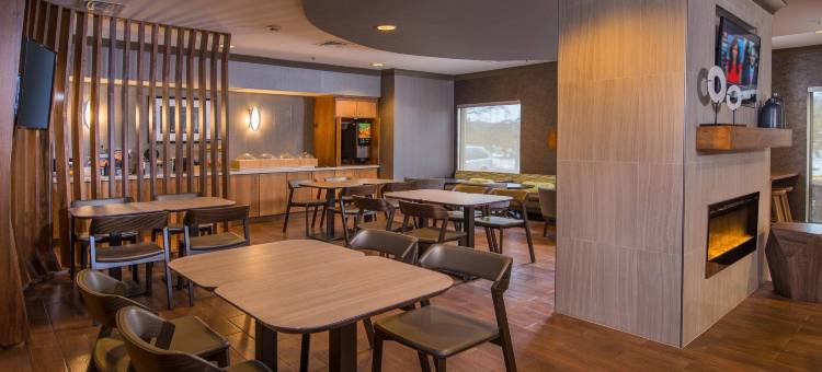 赫恩登雷斯顿万豪SpringHill酒店(SpringHill Suites Herndon Reston)图片