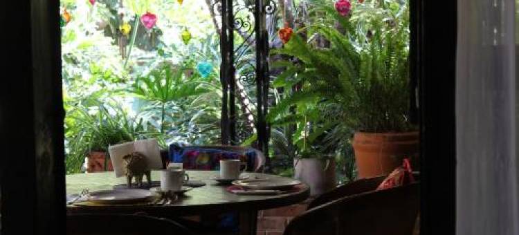 玛格达莱娜之家(Casa Magdalena Hotel Boutique)图片