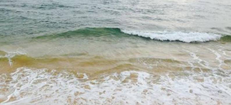 新的海狮招待所(New Sea Lion Guest House)图片